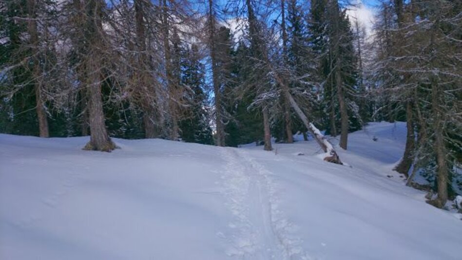Ski Touring Skitour Stoderzinken (2048m) - Touren-Impression #2.3 | © Erlebnisregion Schladming-Dachstein