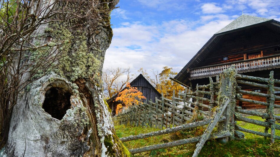 Hiking Route Christmetten Circuit, St. Kathrein am Hauenstein - Touren-Impression #2.7 | © Oststeiermark Tourismus