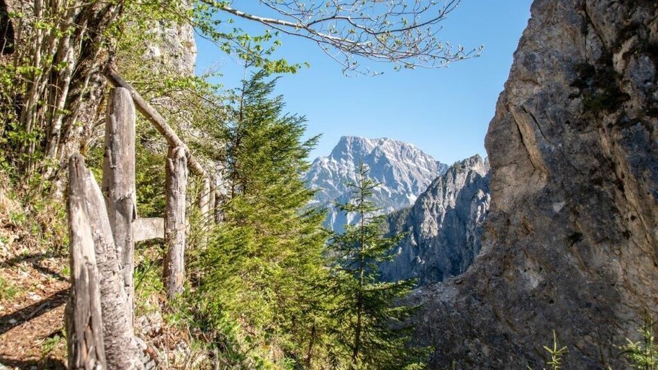 Themen- und Lehrpfad Bibelweg/Bergsteigerfriedhof Johnsbach - Touren-Impression #2.6 | © TV Gesäuse