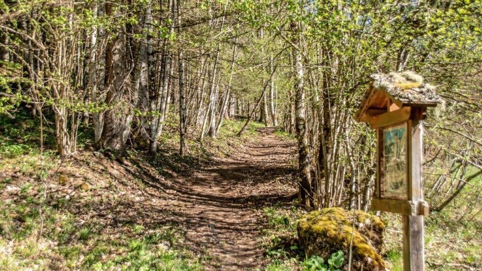 Themen- und Lehrpfad Bibelweg/Bergsteigerfriedhof Johnsbach - Touren-Impression #2.4 | © TV Gesäuse