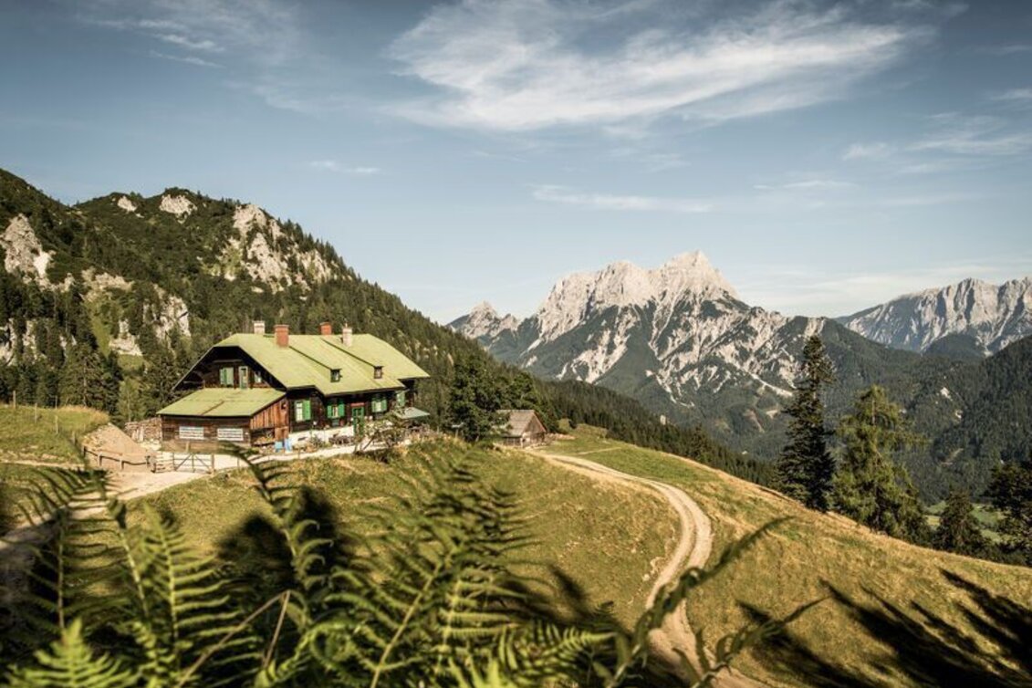 Wanderung Vom Buchauer Sattel zur Grabneralm - Touren-Impression #1 | © TV Gesäuse