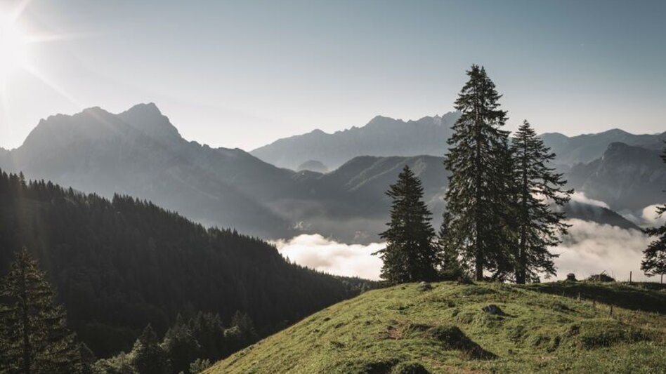 Wanderung Vom Buchauer Sattel zur Grabneralm - Touren-Impression #2.4 | © TV Gesäuse