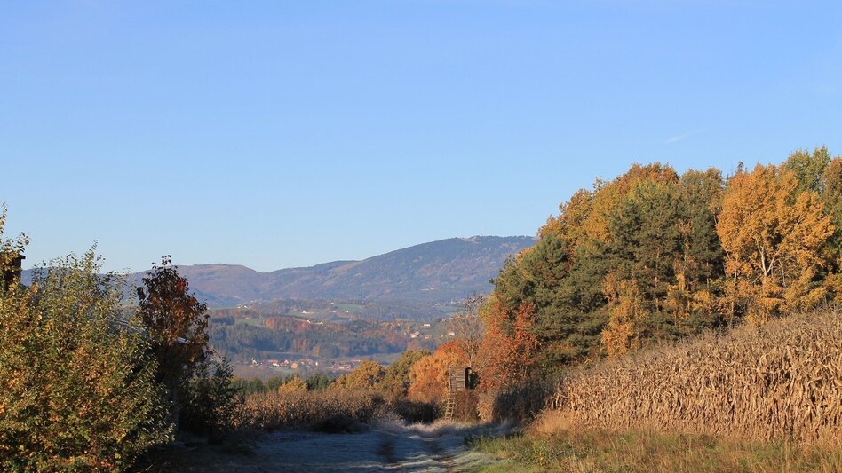 Themen- und Lehrpfad Breiteggerweg - Touren-Impression #2.4 | © Martina Steininger