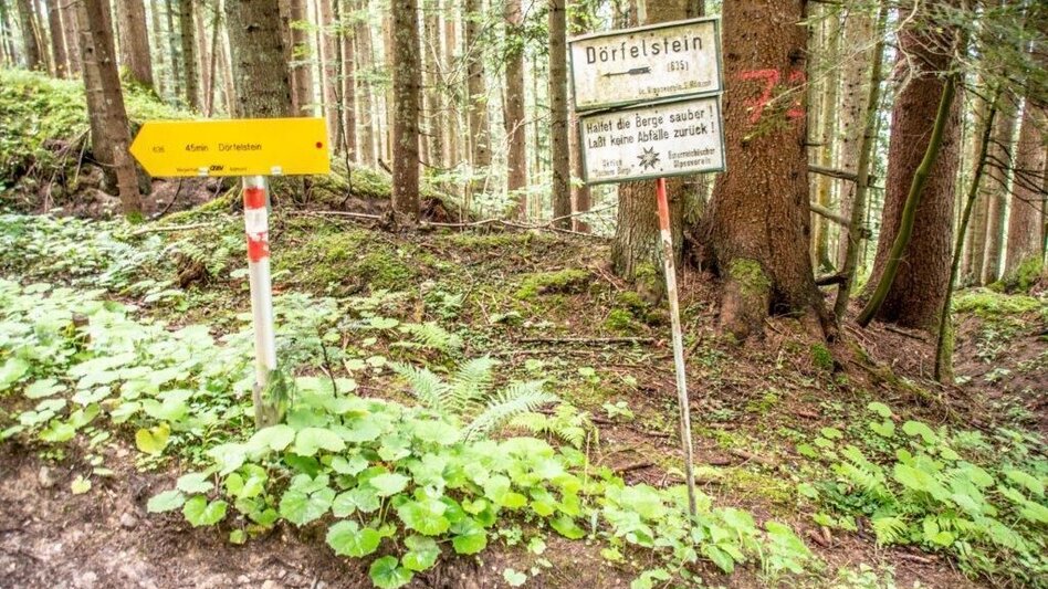 Wanderung Dörfelstein - Touren-Impression #2.3 | © TV Gesäuse