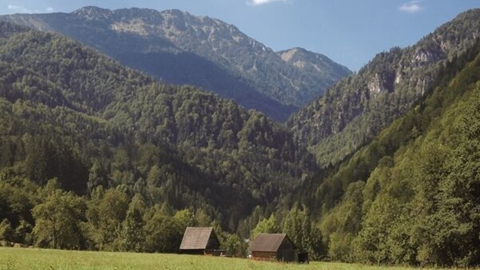 Bergtour Großes Maiereck - Touren-Impression #2.2 | © TV Gesäuse