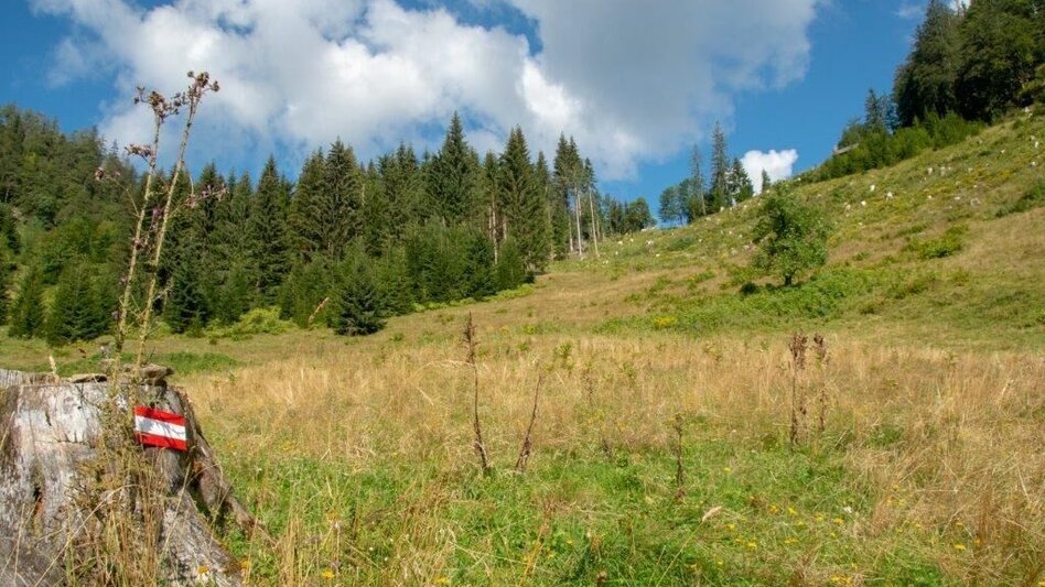 Bergtour Großes Maiereck - Touren-Impression #2.6 | © TV Gesäuse