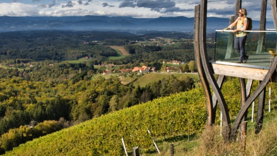 Hiking Route Pistorfer circular trail no. 19 - Touren-Impression #2.2 | © TV Südsteiermark - WEGES