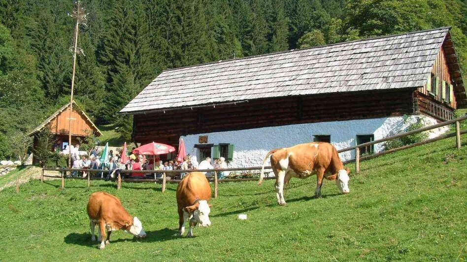 Wanderung Über den Ebnerbauer auf die Kölblalm - Touren-Impression #2.5 | © TV Gesäuse