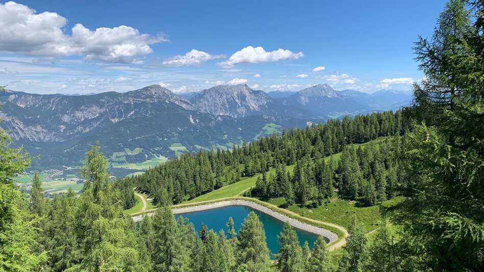 Hiking Route Circular hiking trail "sheep sense" at Hauser Kaibling - Touren-Impression #2.5 | © Erlebnisregion Schladming-Dachstein