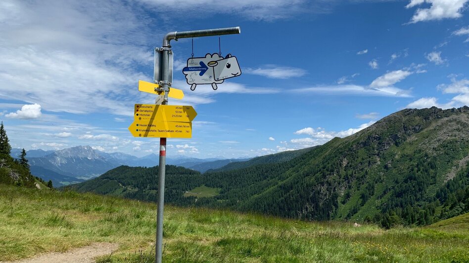 Hiking Route Circular hiking trail "sheep sense" at Hauser Kaibling - Touren-Impression #2.8 | © Erlebnisregion Schladming-Dachstein