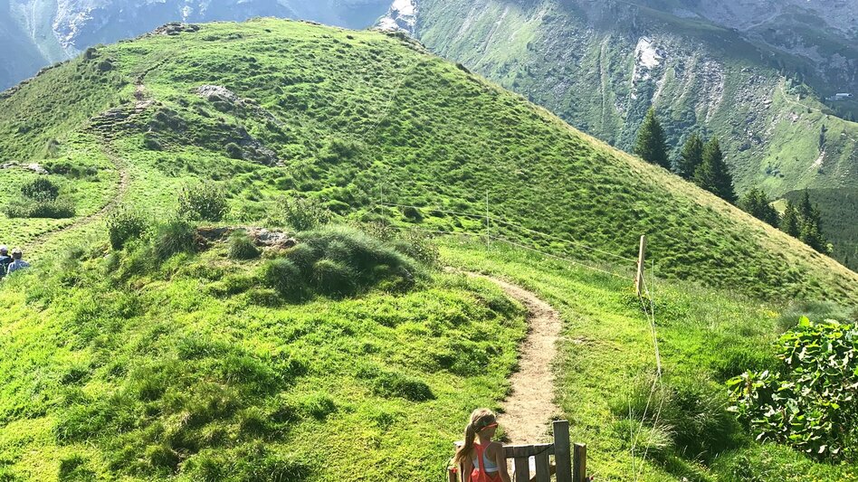 Hiking Route Circular hiking trail "sheep sense" at Hauser Kaibling - Touren-Impression #2.10 | © Erlebnisregion Schladming-Dachstein