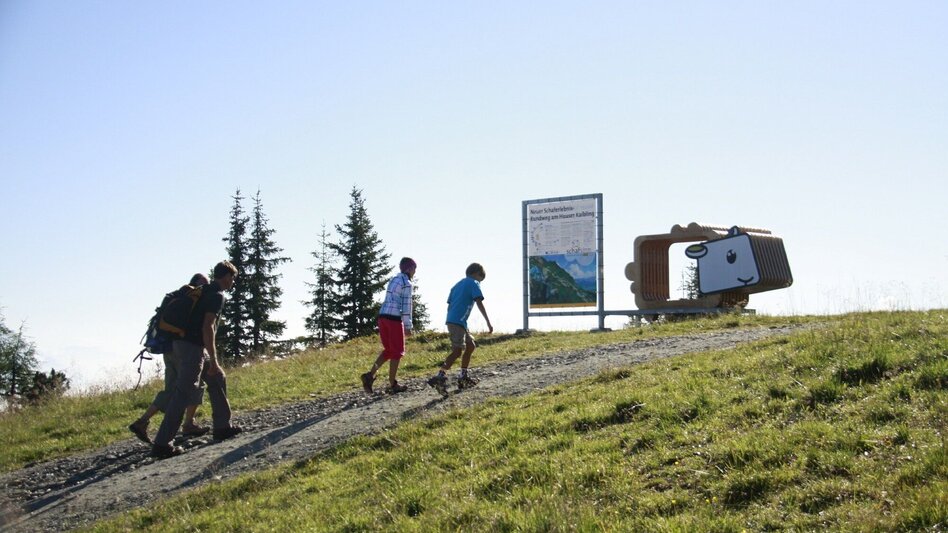 Hiking Route Circular hiking trail "sheep sense" at Hauser Kaibling - Touren-Impression #2.12 | © © www.schafsinn.at
