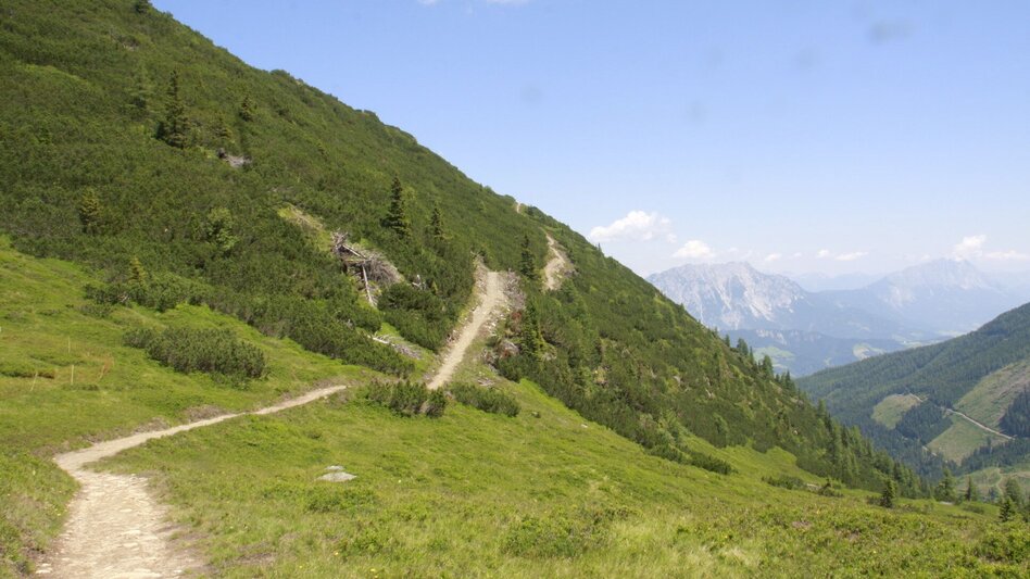 Hiking Route Circular hiking trail "sheep sense" at Hauser Kaibling - Touren-Impression #2.13 | © © www.schafsinn.at