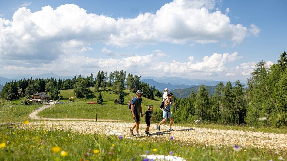 Hiking Route High trail Scharfes-Eck - incl. Grebenzenhaus - Touren-Impression #2.2 | © TVB Murau
