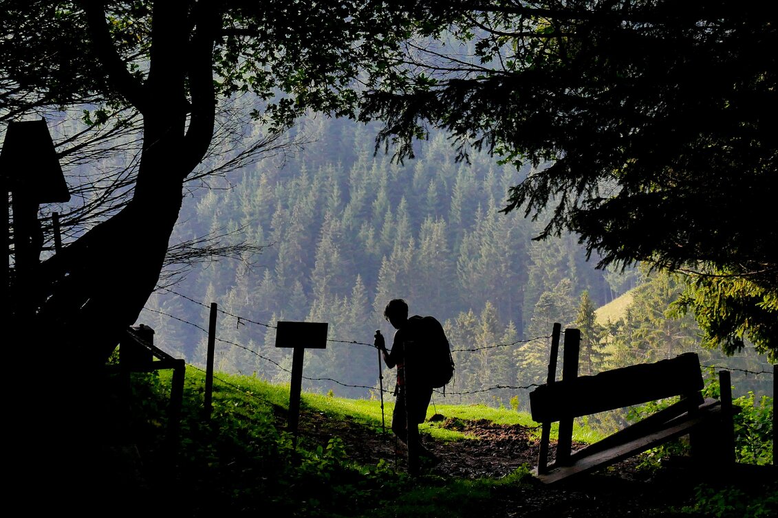 Wanderung Etappe 08 Mariazeller Weg Sommeralm - Auf der Schanz - Touren-Impression #1 | © Steiermark Tourismus