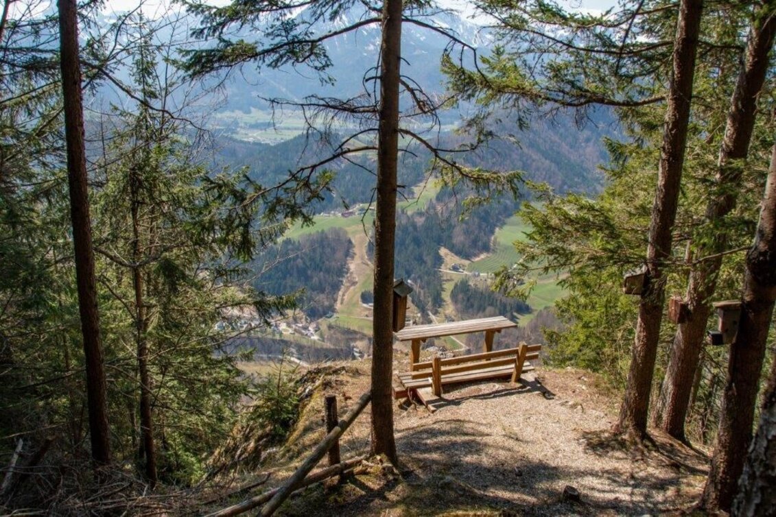 Wanderung Akogelrunde von Palfau - Touren-Impression #1 | © TV Gesäuse
