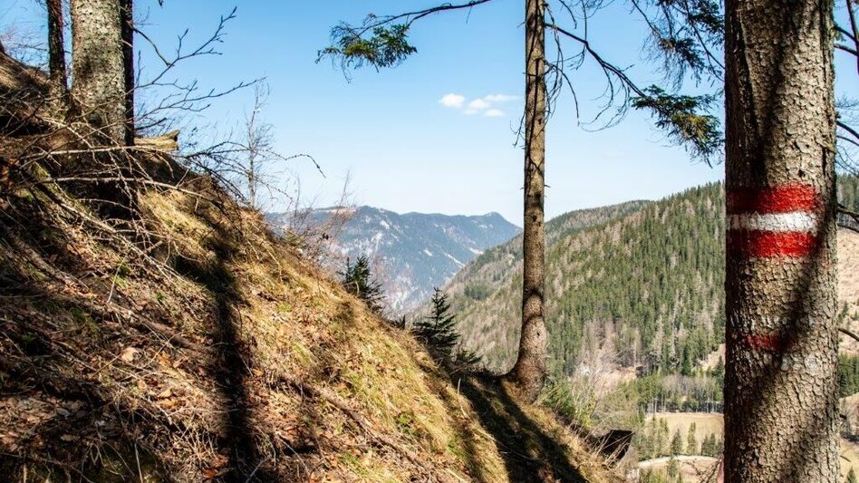 Wanderung Akogelrunde von Palfau - Touren-Impression #2.10 | © TV Gesäuse