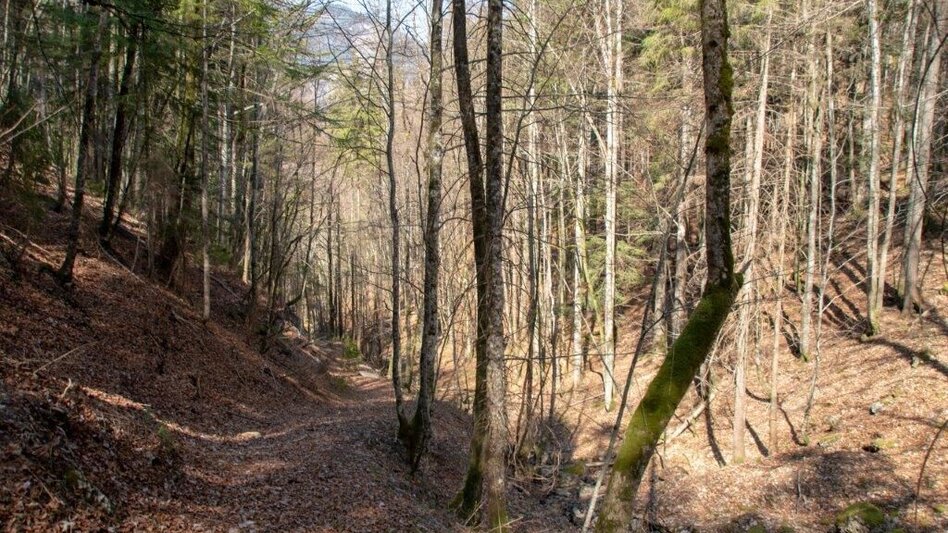 Wanderung Akogelrunde von Palfau - Touren-Impression #2.12 | © TV Gesäuse
