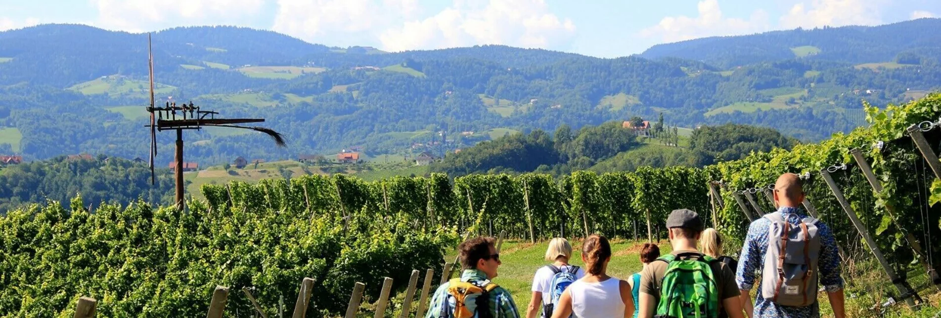 Hiking route Kulinarische Weinbergwanderung – Tour 15 lt. WK „Von der Alm zum Wein“ - Touren-Impression #1 | © Südsteiermark