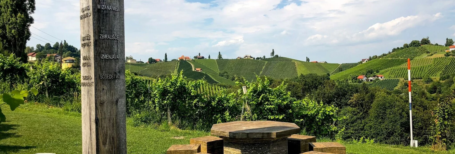 Wanderung Kulinarische Weinbergwanderung – Tour 15 lt. WK „Von der Alm zum Wein“ - Touren-Impression #1 | © (c) Steiermark Tourismus/Martina Traisch