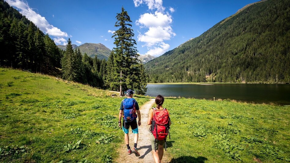 Hiking Route Brennerfeldeck - Touren-Impression #2.2 | © Tourismusverband Murau