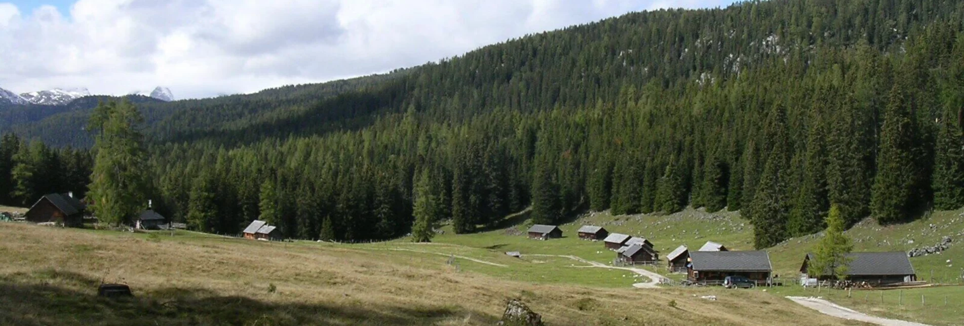 Wanderung Wald- und Almwanderung vom Stoderzinken zur Viehbergalm - Touren-Impression #1 | © Erlebnisregion Schladming-Dachstein