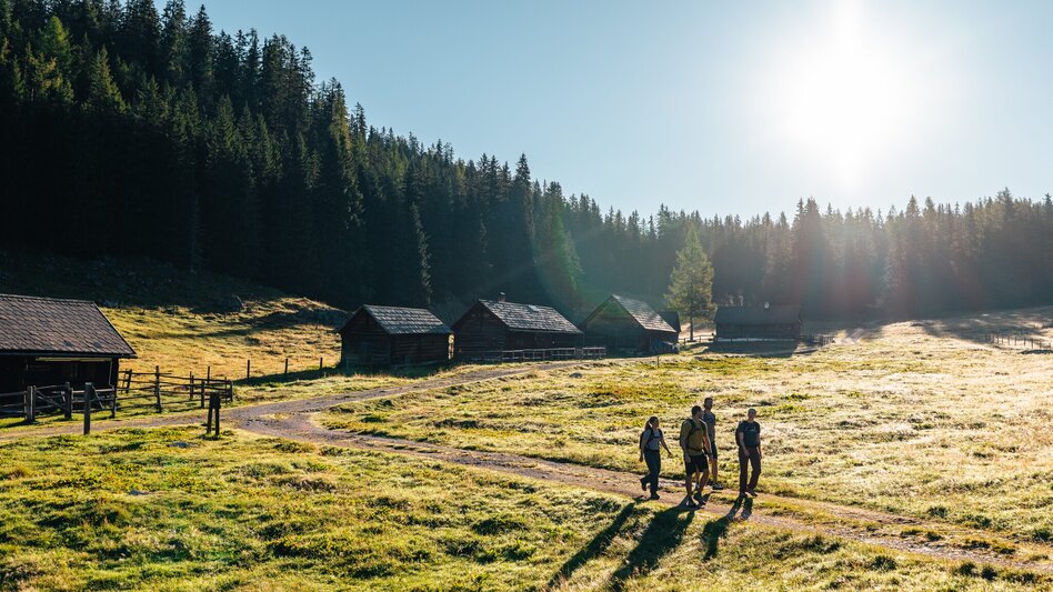 Wanderung Vom Stoderzinken zur Viehbergalm - eine Wald- und Almwanderung  - Touren-Impression #2.1 | © Mathäus Gartner