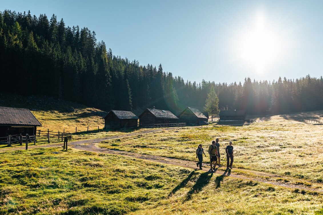 Wanderung Vom Stoderzinken zur Viehbergalm - eine Wald- und Almwanderung  - Touren-Impression #1 | © Mathäus Gartner