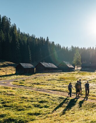 Wandergruppe auf der Viehbergalm | Mathäus Gartner | © Mathäus Gartner