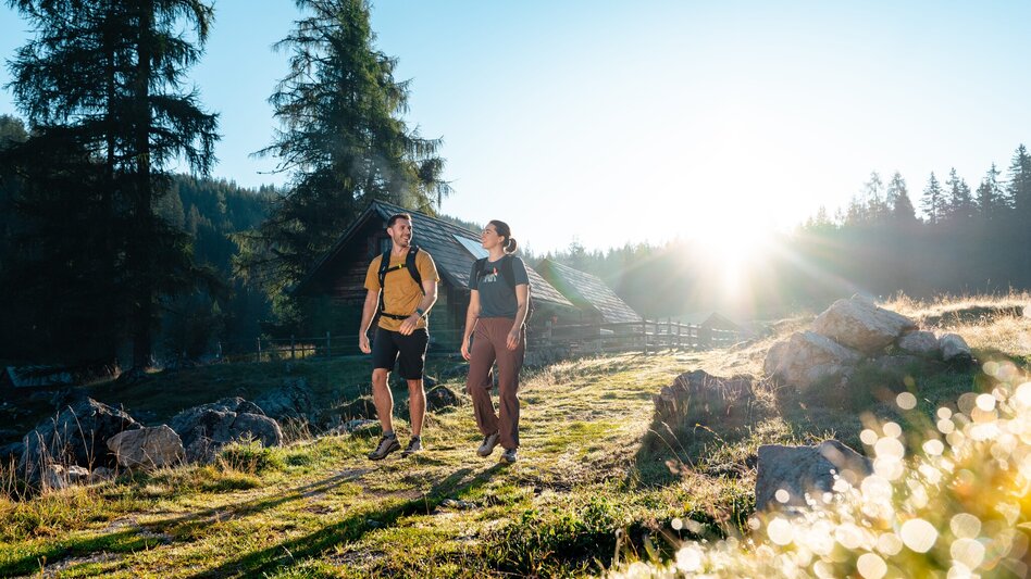 Wanderung Vom Stoderzinken zur Viehbergalm - eine Wald- und Almwanderung  - Touren-Impression #2.4 | © Mathäus Gartner