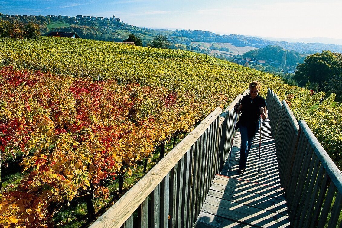 Wanderung Mariazeller Weg Anbindung von Slowenien über Bad Radkersburg - Touren-Impression #1 | © Steiermark Tourismus