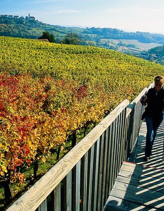 Am Weinweg der Sinne | Reinhard Lamm | © Steiermark Tourismus