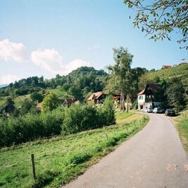 Schilcherrundweg Ried Engelweingarten | © TVB Südsteiermark/Winfried Bräunlich