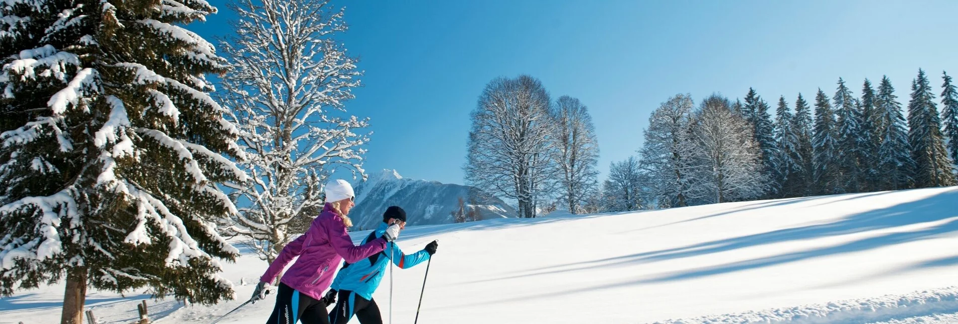 Cross-Country Skiing Standard Trail West - Touren-Impression #1 | © Tourismusverband Ramsau am Dachstein