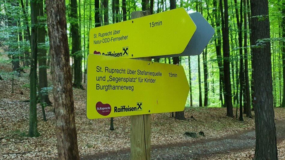 Wanderung Burgthannerweg - Touren-Impression #2.9 | © Günther Steininger