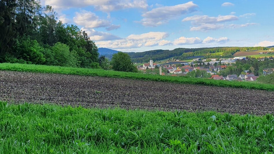 Wanderung Burgthannerweg - Touren-Impression #2.10 | © Günther Steininger