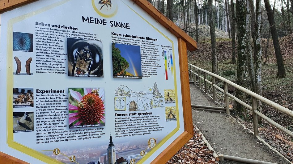 Wanderung Burgthannerweg - Touren-Impression #2.7 | © Oststeiermark Tourismus