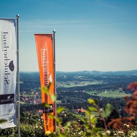 Schilcherland in der Erlebnisregion Südsteiermark | © TVB Südsteiermark/Lupi Spuma