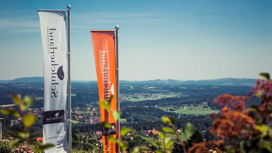 Cycling Schilcher Tour South - Touren-Impression #2.1 | © TVB Südsteiermark/Lupi Spuma