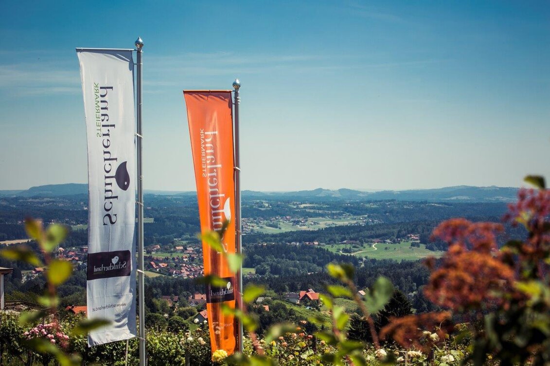 Cycling Schilcher Tour South - Touren-Impression #1 | © TVB Südsteiermark/Lupi Spuma