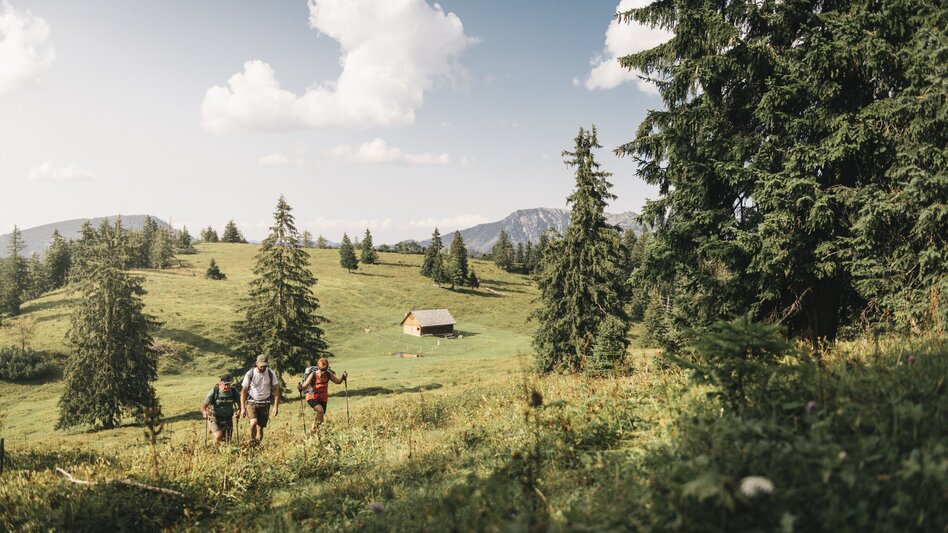 Bergtour Buchberg von Gams - Touren-Impression #2.2 | © stefanleitner.com