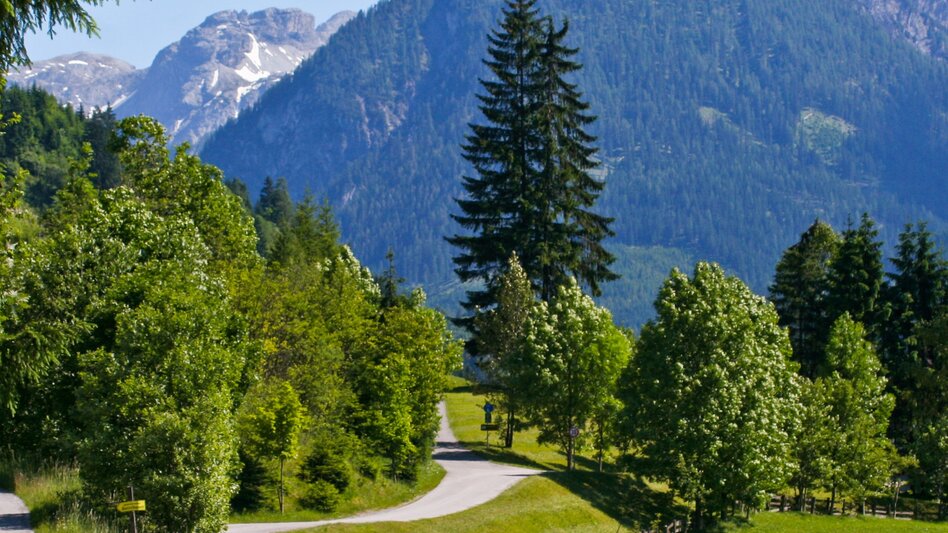 Cycling Enns Cycle Trail ‒ through a world of mountains and water - Touren-Impression #2.2 | © Steiermark Tourismus