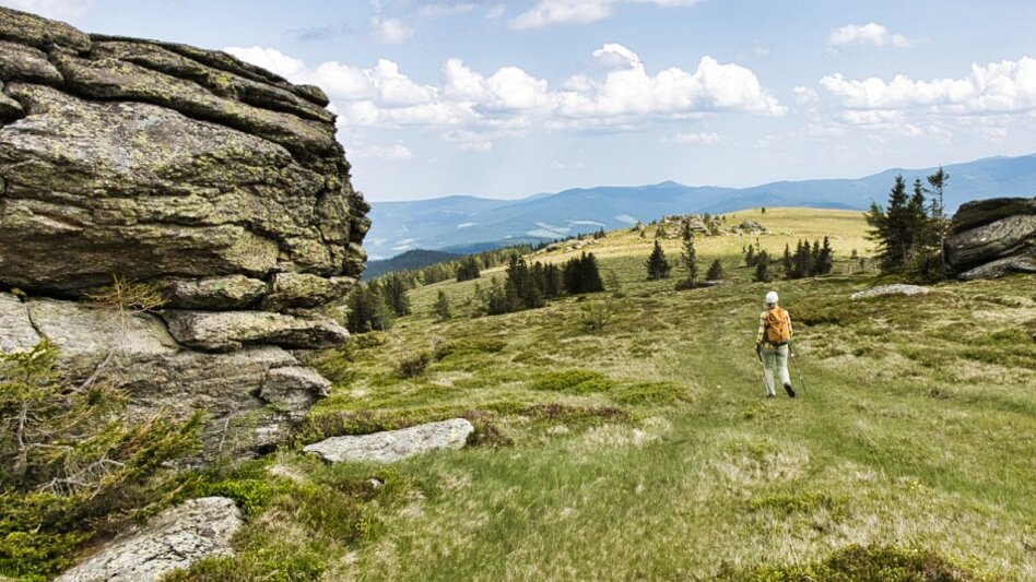 Hiking Route Hirschegg mountain hut duet - Touren-Impression #2.5 | © Region Graz