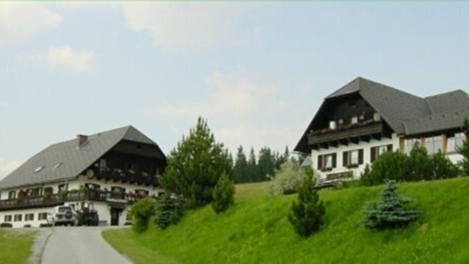 Themen- und Lehrpfad Themenweg - Steinöfen - Touren-Impression #2.5 | © Alpengasthof Hoiswirt