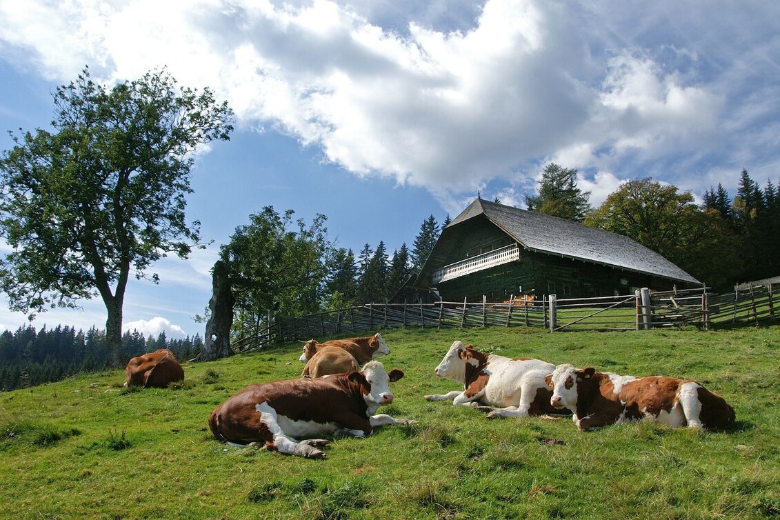 Familienwanderwege Rosegger Almrunde - Touren-Impression #1 | © TV Hochsteiermark