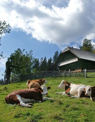 Peter Roseggers Geburtshaus mit Sommerweide | Jakob Hiller | © TV Hochsteiermark