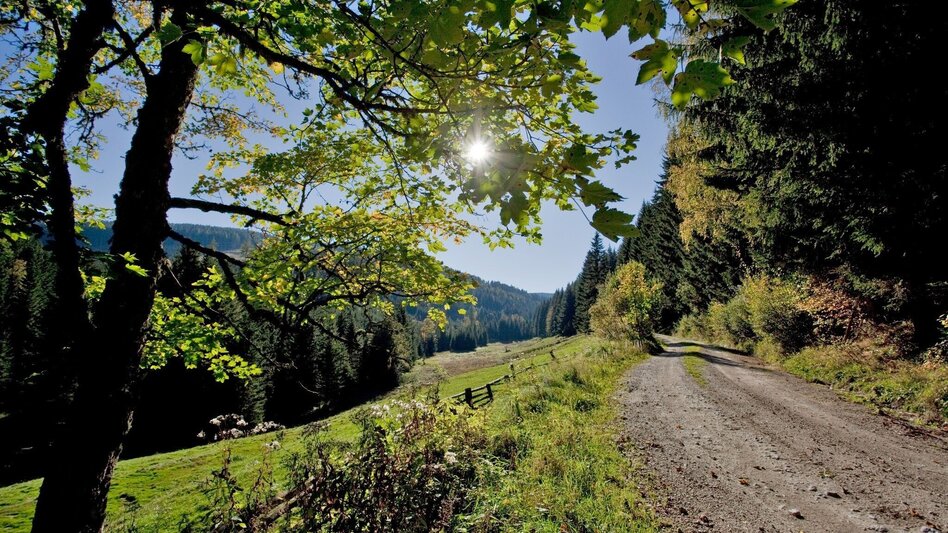 Familienwanderwege Rosegger Almrunde - Touren-Impression #2.2 | © TV Hochsteiermark