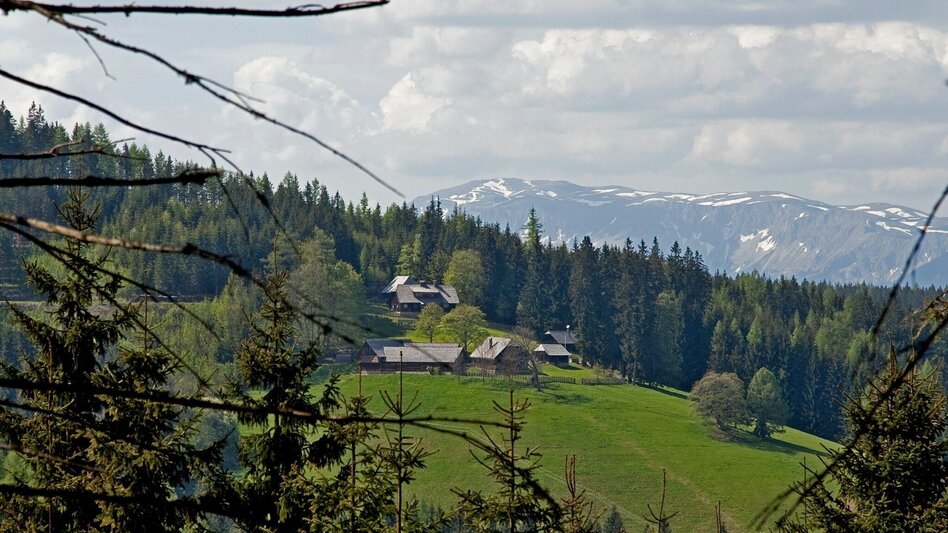 Familienwanderwege Rosegger Almrunde - Touren-Impression #2.5 | © TV Hochsteiermark