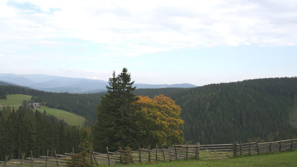 Familienwanderwege Rosegger Almrunde - Touren-Impression #2.6 | © TV Hochsteiermark
