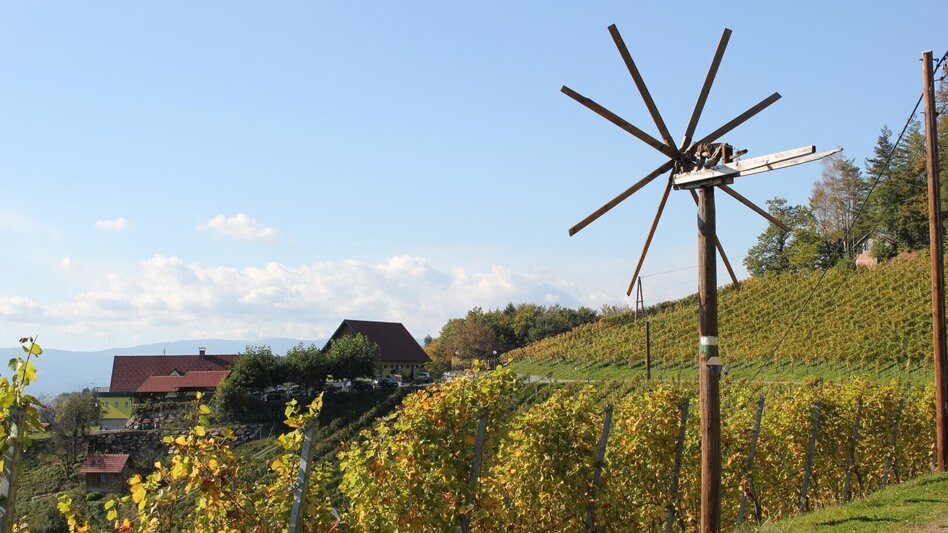 Cycling Cycling for pleasure - Wine Road Tour Variant 1 - "Kranachberg-Heimschuh" - Touren-Impression #2.1 | © Erlebnisregion Südsteiermark